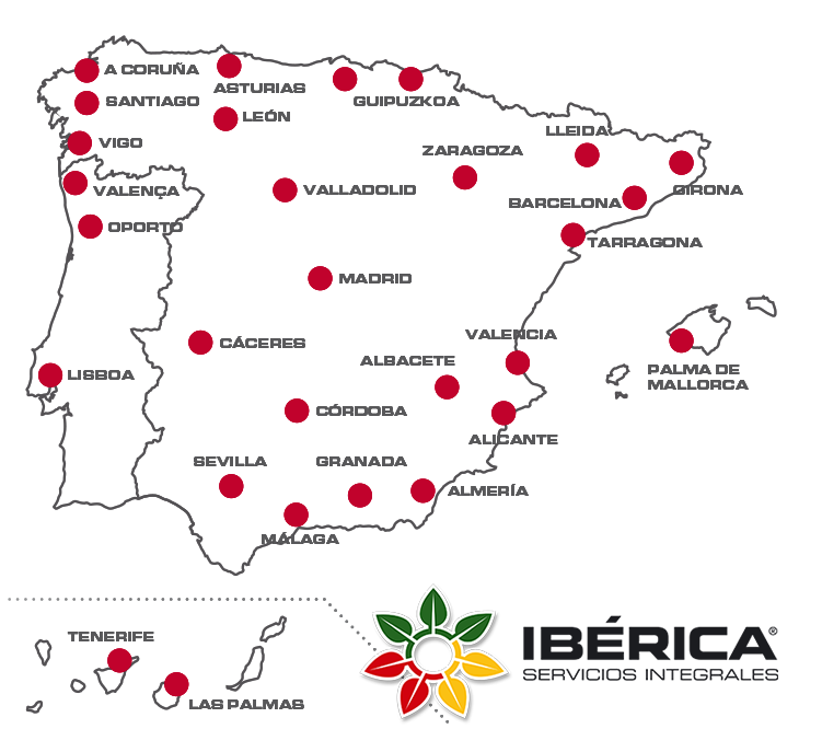 Alianza Ib&eacute;rica